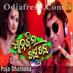 Dhan bila Khasa Khasa - New Dance Number Song By Baibhav